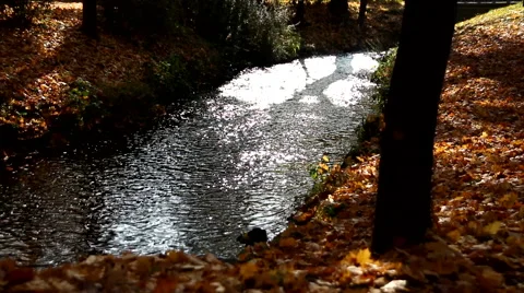 Small bubbly river Stock Footage 45274101