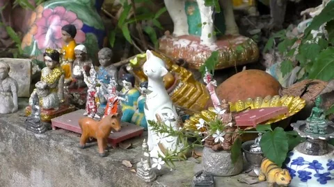 Small Buddha offerings Stock Footage 69196328