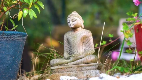 Small buddha statue Vidéo 105719661