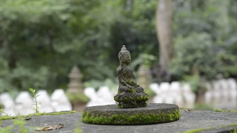 Small Buddha statue with mossy in temple. 스톡 동영상 79781134