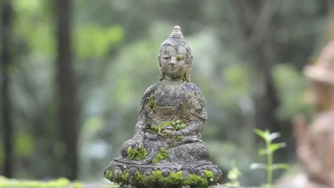 Small Buddha statue with mossy in temple. Stock Footage 79781316