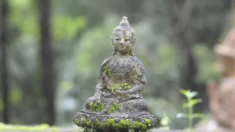 Small Buddha statue with mossy in temple. 스톡 동영상 79781412