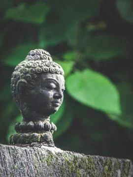 Small buddha stone head with leaf on the background Stock Photos