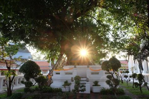 A small Buddhist altar by a tree. Stock Photos