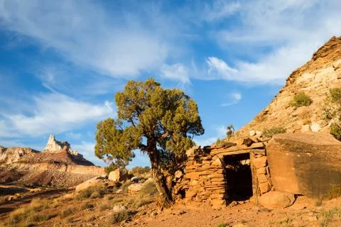 Small building and juniper tree below Temple Mountain. Stock Photos