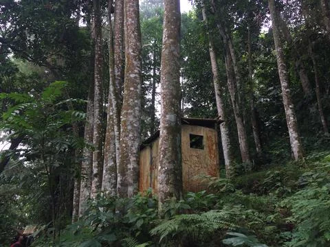 Small building in the middle of the forest Stock Photos