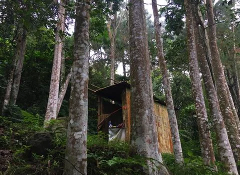 Small building in the middle of the forest Stock Photos