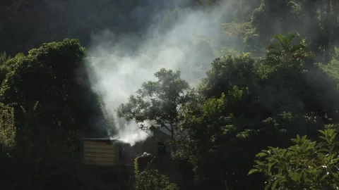 Small Building Surrounded by Dense Greenery with Billowing White Smoke Stock Footage 315091317