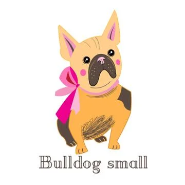 Small bulldog Stock Illustration