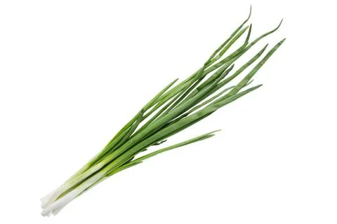 Small bundle of washed fresh green onions with long stems and tiny roots over Stock Photos