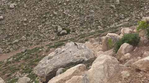 Small bunting perches on a rock in dry open country with sharp - Perched Bird Stock Footage 339819582