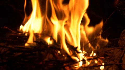 Small burning campfire Stock Footage 102906121