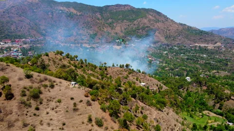 A Small Burning Forest Fire Stock Footage 152910033