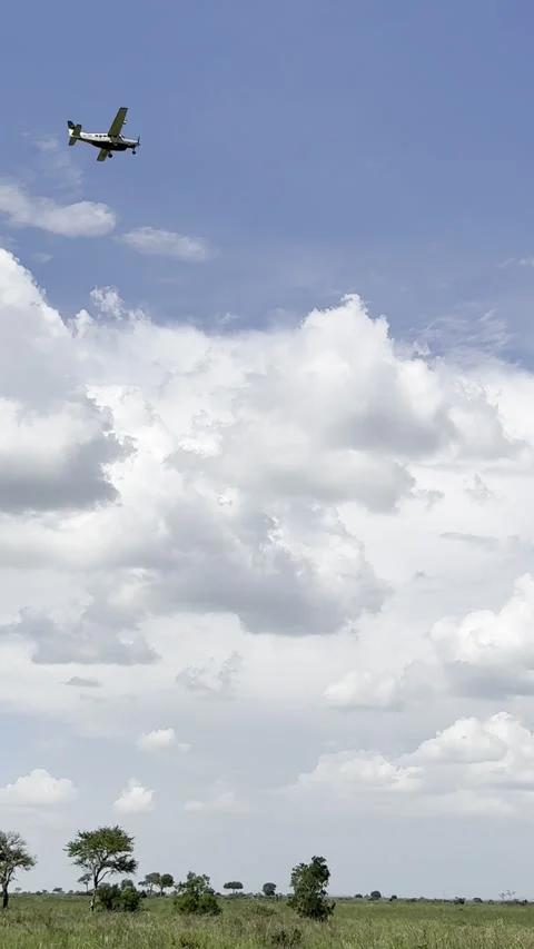 Small bush plane flying low over green savanna in Mikumi vertical Vidéo 344602145