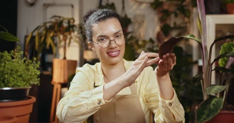 Small business, entrepreneur and professions concept. African american mixed Stock Footage 247731253