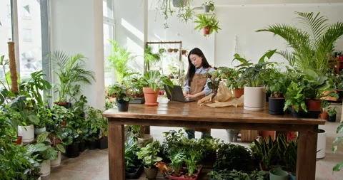 Small business, home decor concept. Asian female florist, owner of small Stock Footage 274126436
