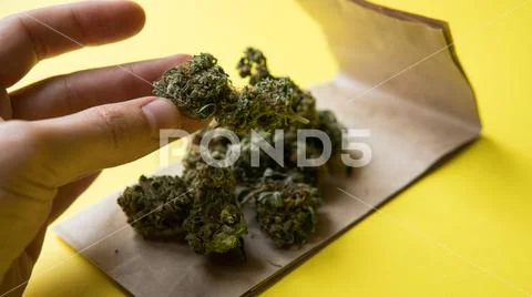 Small business marijuana dispensary in Unated States.Marijuana buds for sale Stock Photos