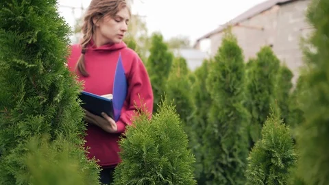 Small business owner at work. A young female entrepreneur inspects grown Stock Footage 117604657