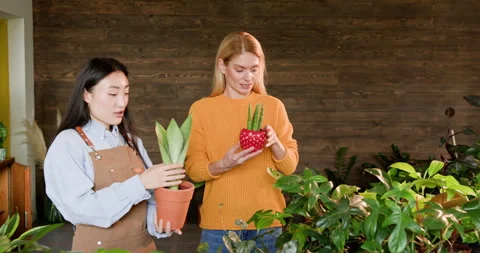 Small Business Owners Collaborating in a Flower Shop with Indoor Plants Stock Footage 274037806