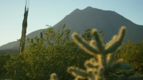 Small Cactus and mountain in Mexican desert of Baja Stock Footage 106327439
