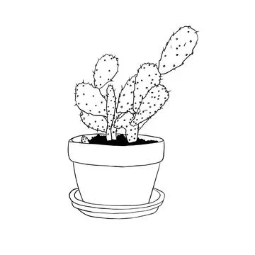 Small cactus prickly white pot black lines Stock Illustration