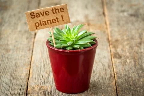 Small cactus with a Save The Planet note Stock Photos