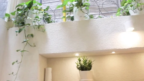 Small cafe backyard with plant Stock Footage 120669869