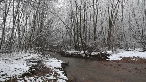 Small calm flowing stream in winter nature Stock Footage 146381172