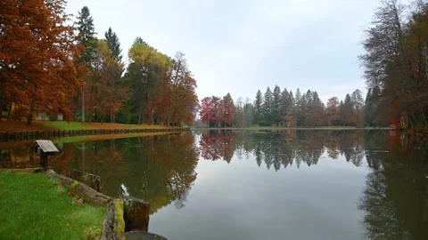 Small calm lake and reflection of colorful trees in water, Brdo park, Slovenia Stock Footage 142797573