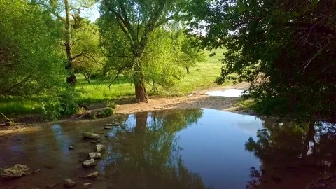 Small calm lake under trees Video stock 111971212