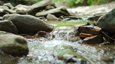 Small calm mountain river with clear water. Water flows over the stones Stock Footage 222436091