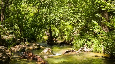Small Calm Mountain River Flowing In Sunny Green Forest Stock Footage 53039033