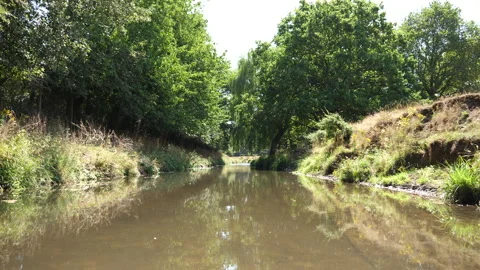 Small Calm Stream In Middle Of Day Being Peaceful 库存影片 136700747