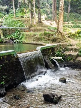 A Small Calm Waterfall Flows Stock Photos