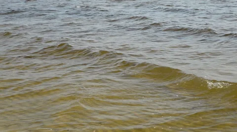 Small calm waves 動画素材 48903535