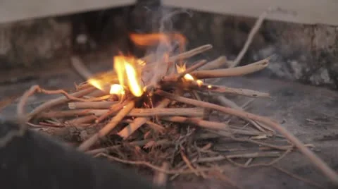 Small Camofire with Kindling Video stock 10569109