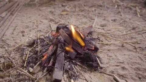 Small camp fire blowing out Stock Footage 82232550