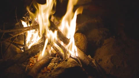 Small camp fire burning at night Stock Footage 247913592
