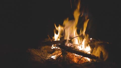 Small camp fire burning at night Stock Footage 247913593