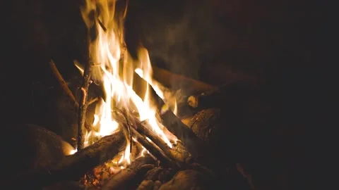 Small camp fire burning at night, cooking marshmallows Stock Footage 247913600