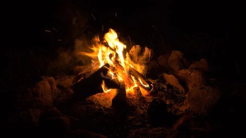 Small camp fire at night Stock Footage 93163716