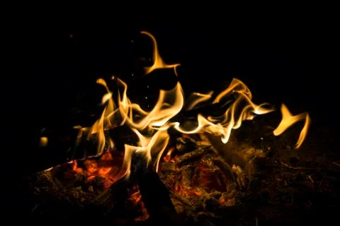 Small camp fire Фото