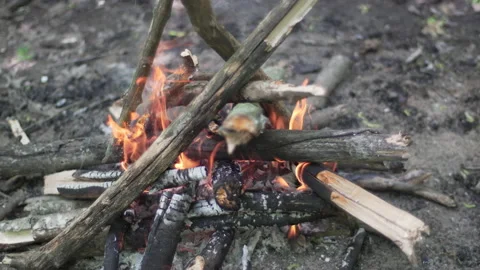 A small camp fire in the woods Stock Footage 163791378