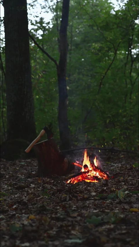 Small Campfire with Axe in Dark Forest Seamless Loop with Sound Stock Footage 344951155