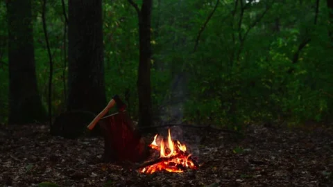Small Campfire with Axe in Forest Seamless Loop with Sound Stockbeeldmateriaal 344951247