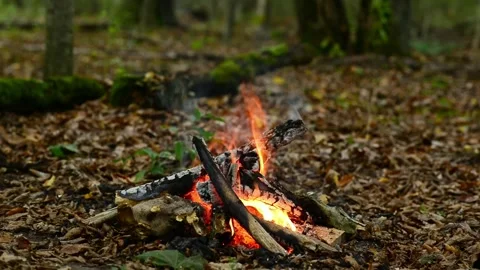 Small campfire with bright vertical flame on dry forest ground. Stock Footage 346289897