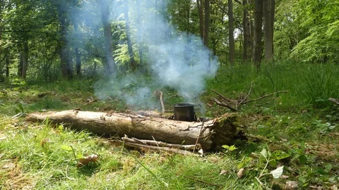Small Campfire Burning in the Forest Stock Footage 112671662