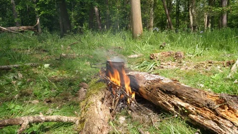 Small Campfire Burning in the Forest Video stock 112671801