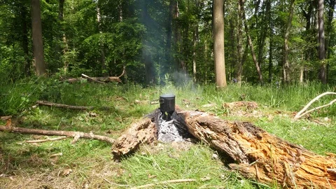 Small Campfire Burning in the Forest Stock Footage 112672007