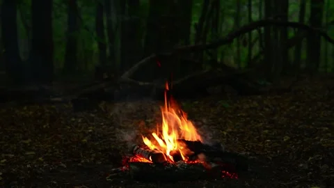 Small campfire burning on ground with autumn forest and branches background Stock Footage 345716455